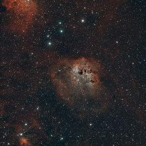 Sh2-236-Tadpole nebula-PS-FB.png