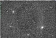 M49_R_Ring.jpg