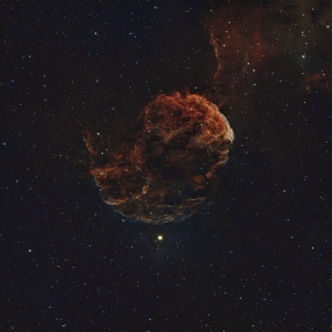 IC443_Jelly Fish_FinalView.png