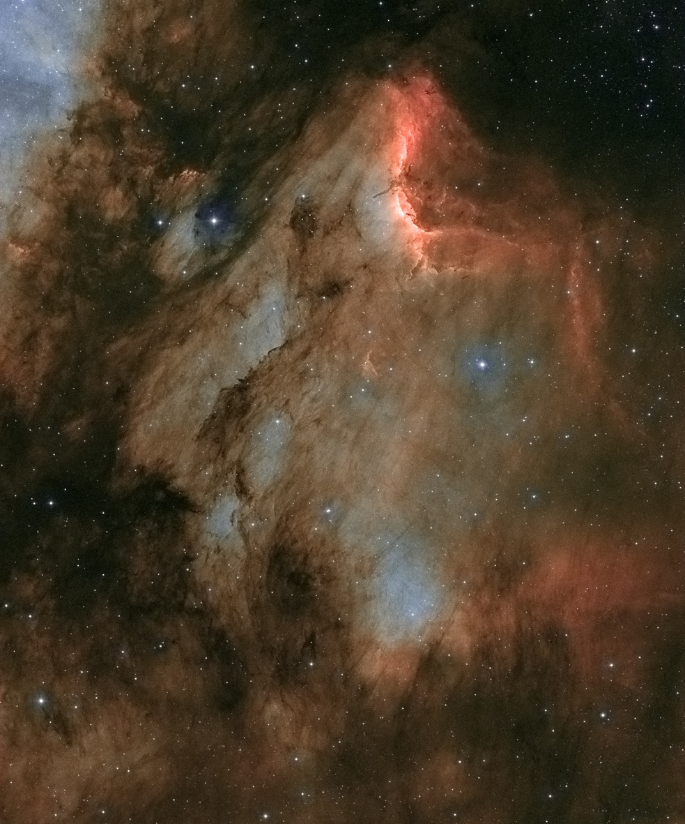 IC5070_Pelican_Nebula_Steve_Richards2048.jpg