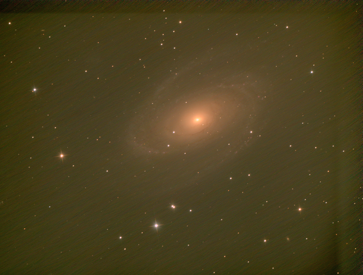 M81.jpg